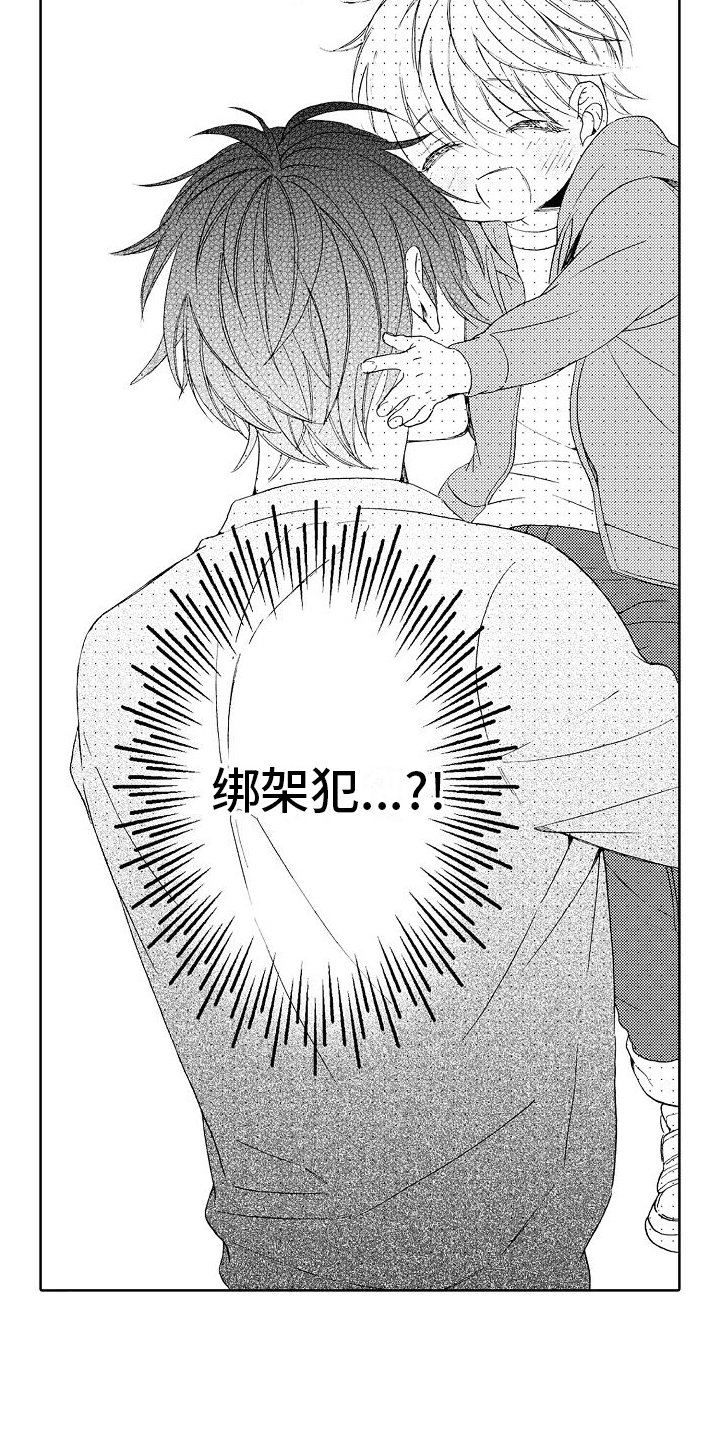 第3章：分析