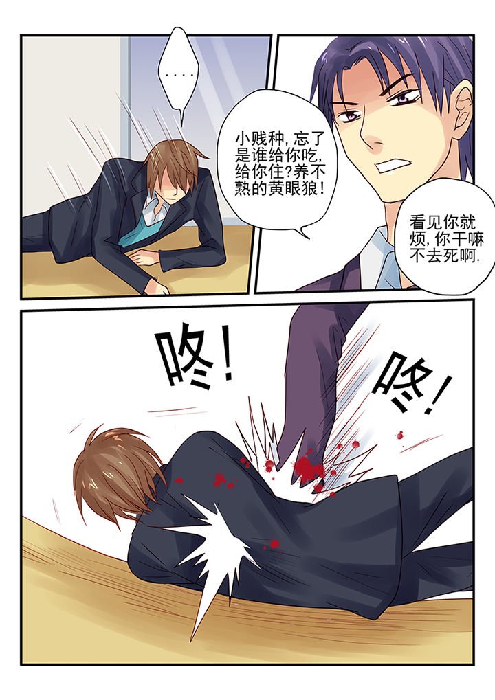 第11章：