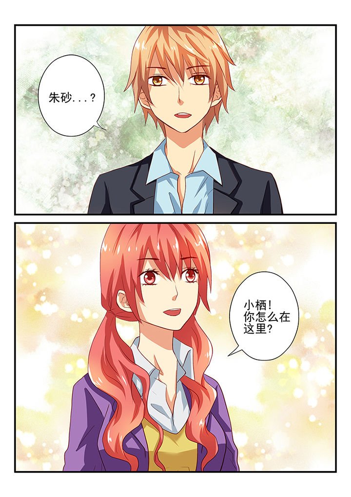 第41章：