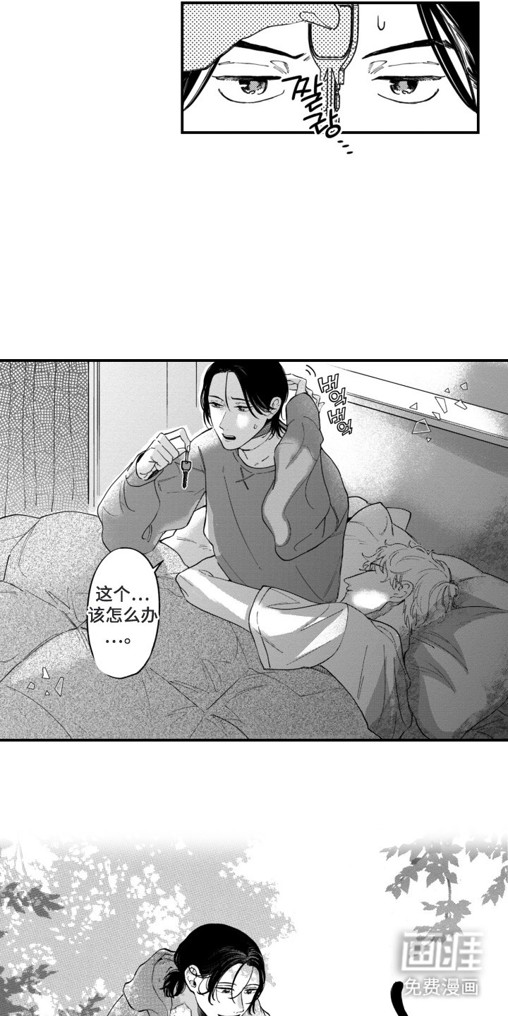 第10章：会议