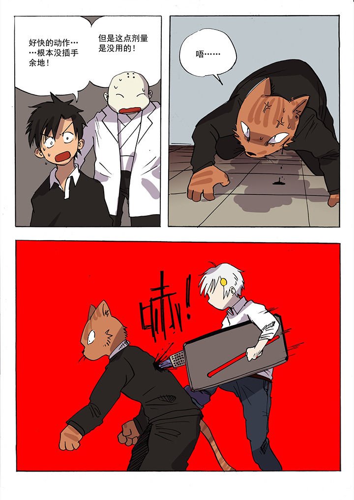 第35章：