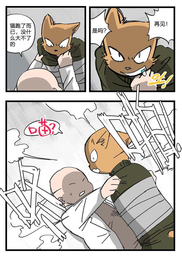 第51章：
