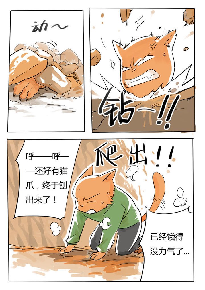 第62章：