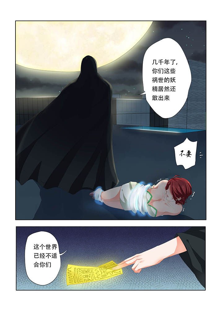 第12章：