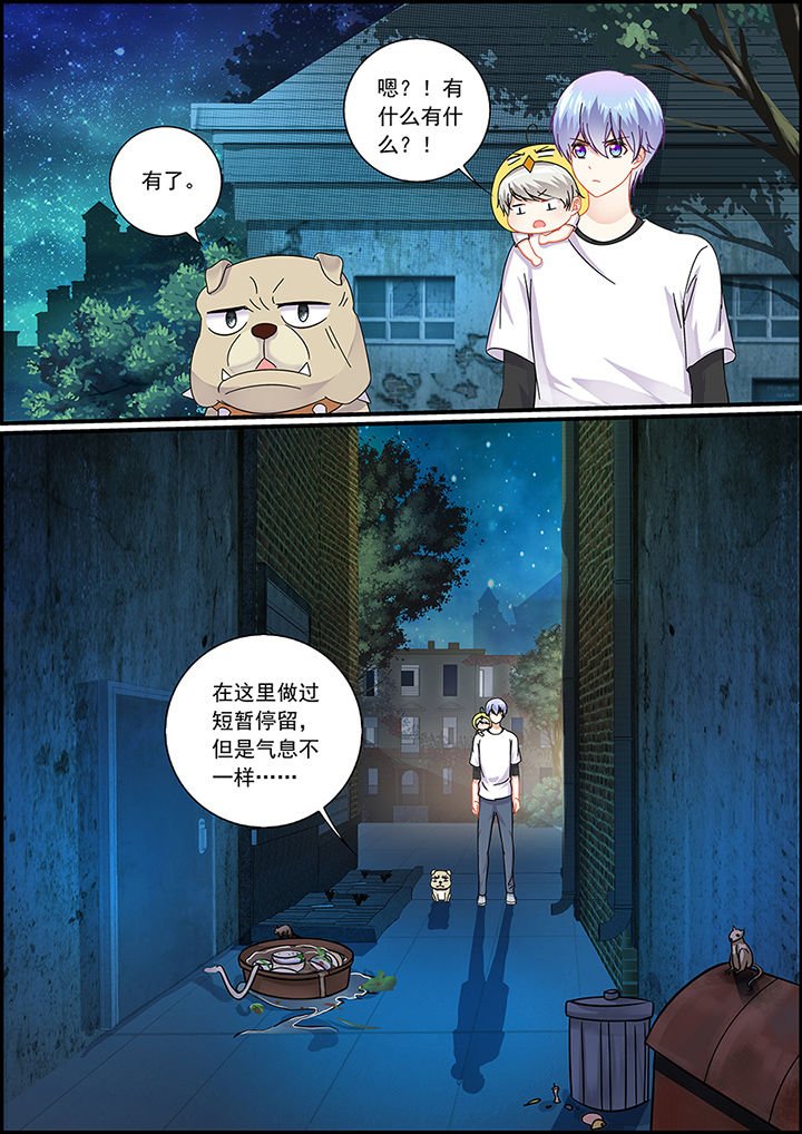 第45章：
