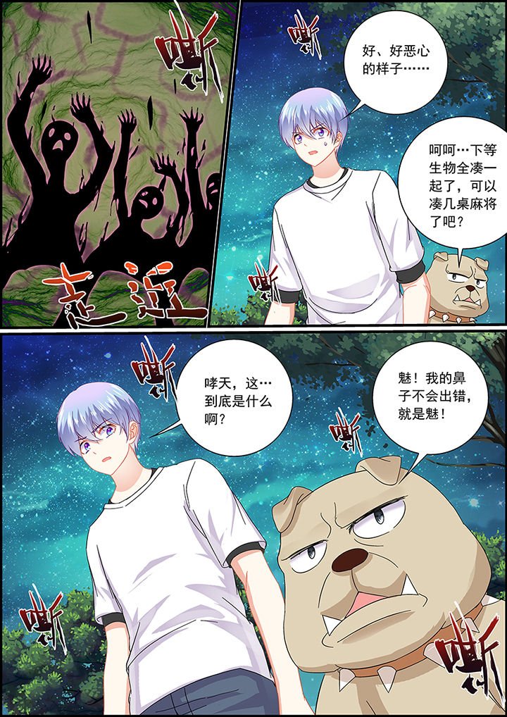 第51章：