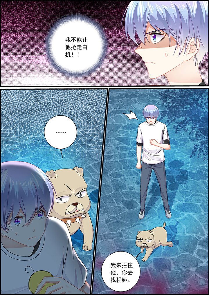 第52章：