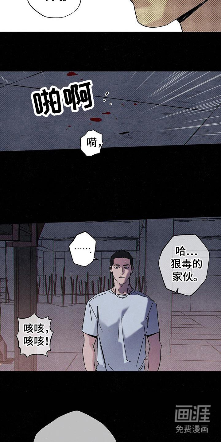 第100章：【第二季】已经够了