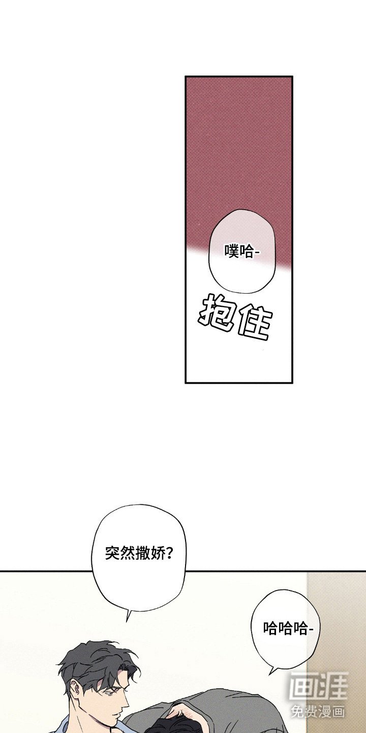 第112章：【第二季】露营照片
