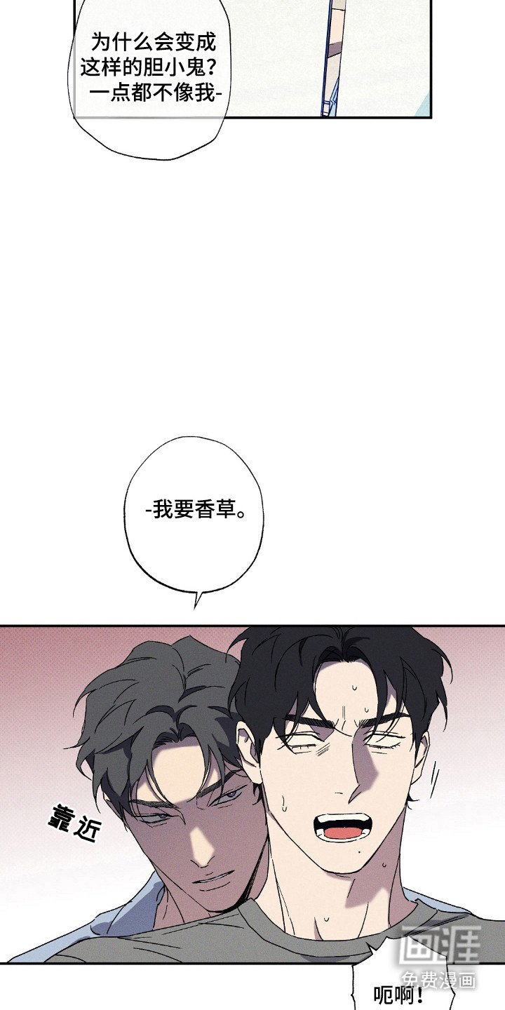 第112章：【第二季】露营照片