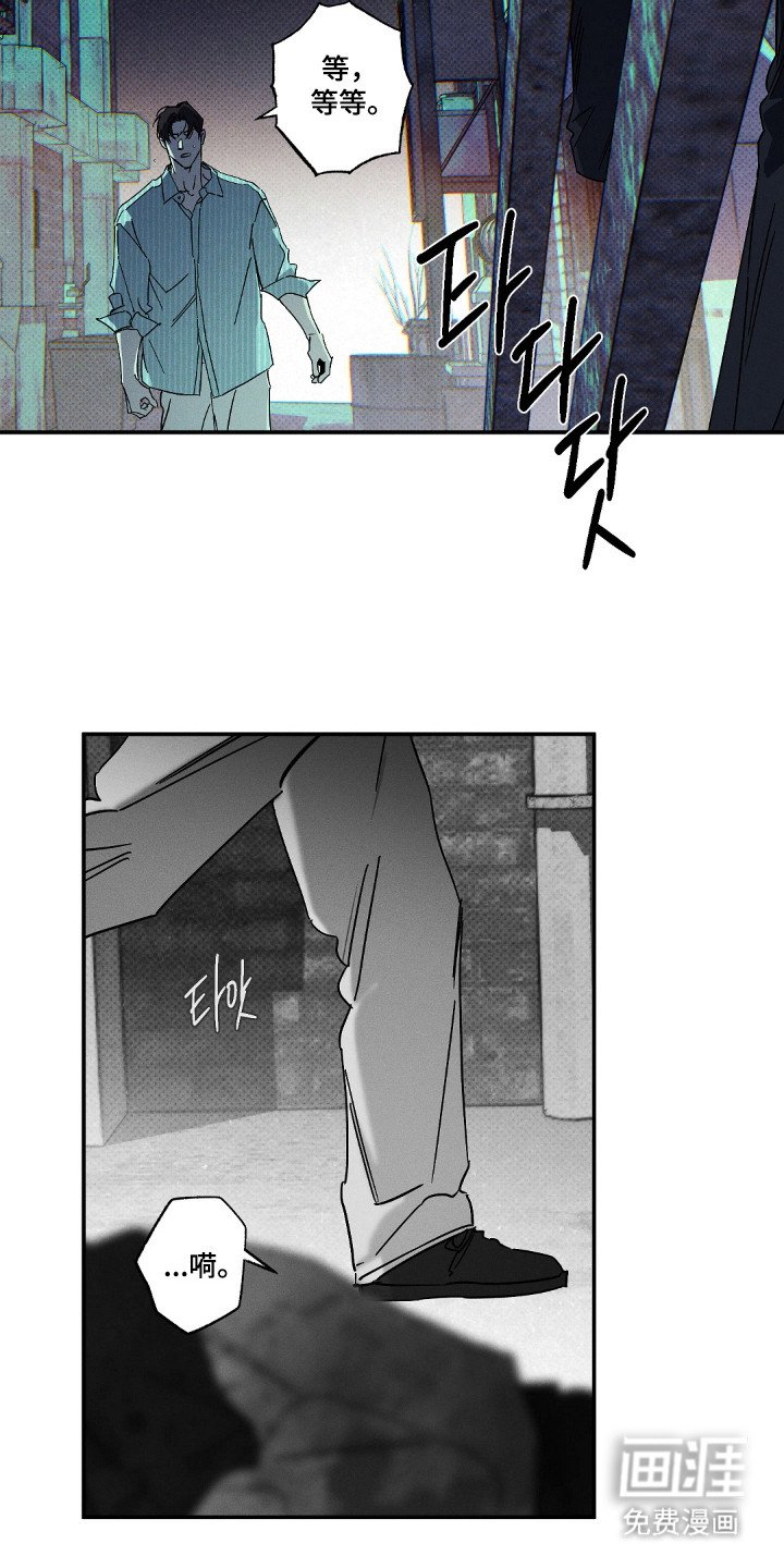 第127章：【第二季】金鸟消息