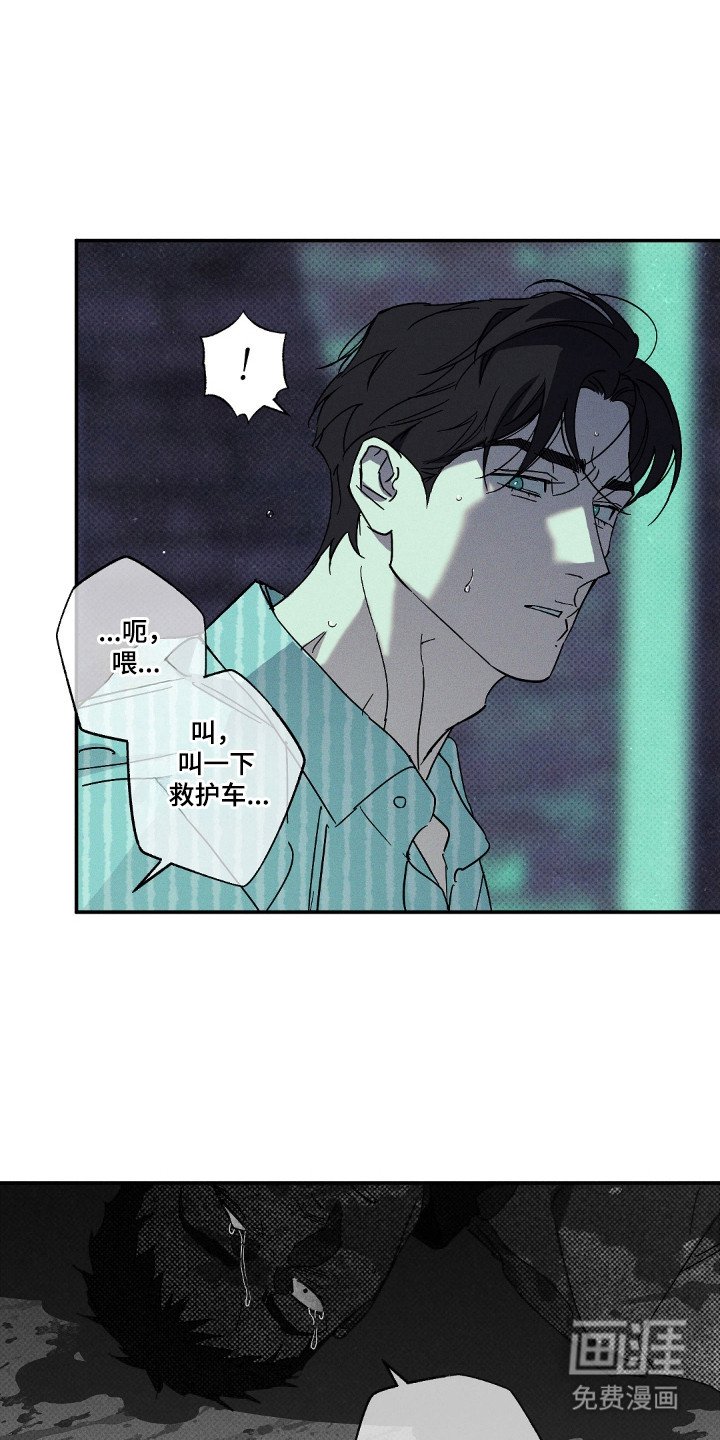 第127章：【第二季】金鸟消息