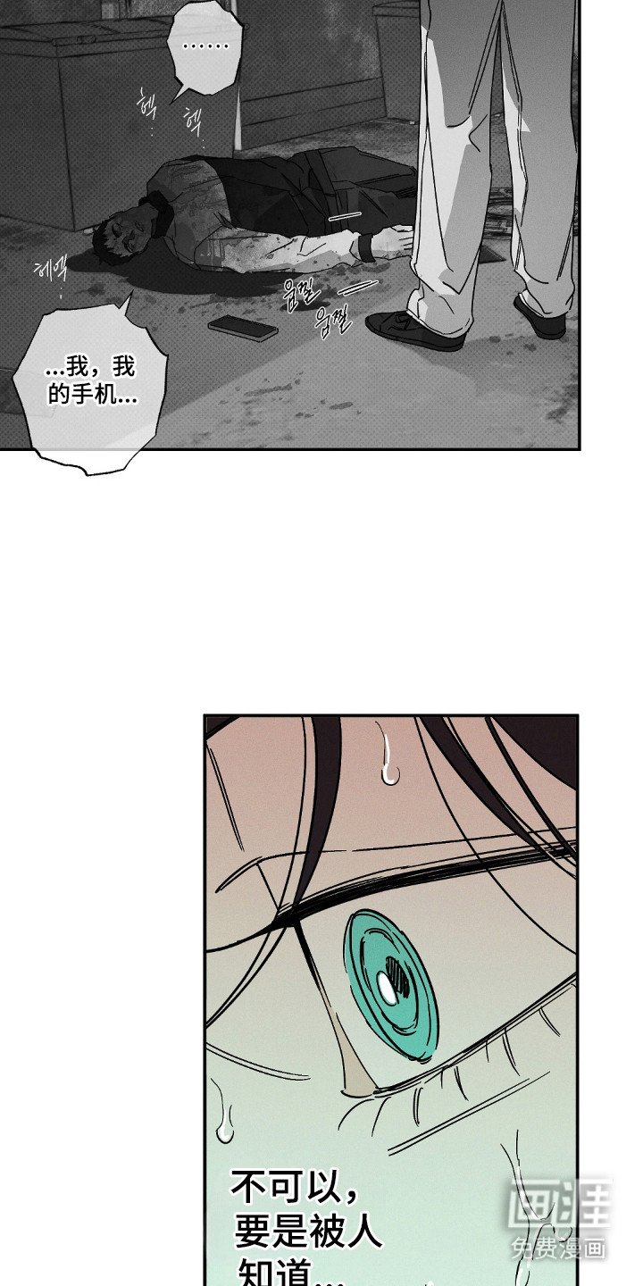 第127章：【第二季】金鸟消息