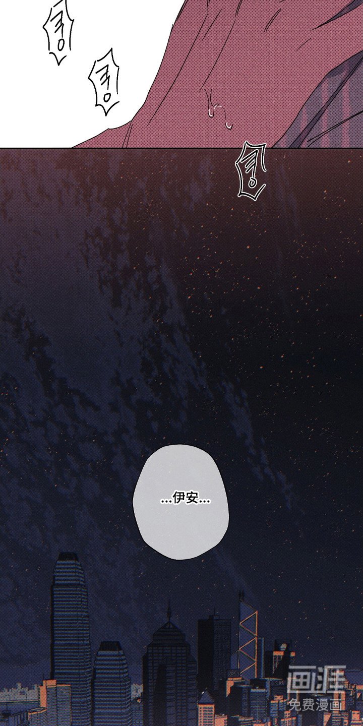 第127章：【第二季】金鸟消息
