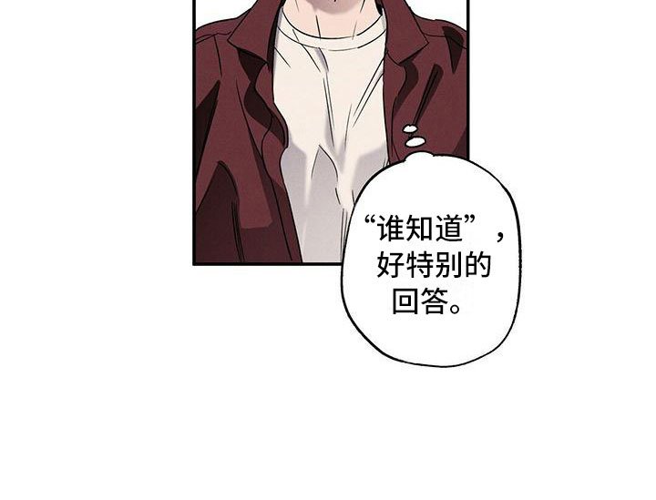 第13章：不像你了
