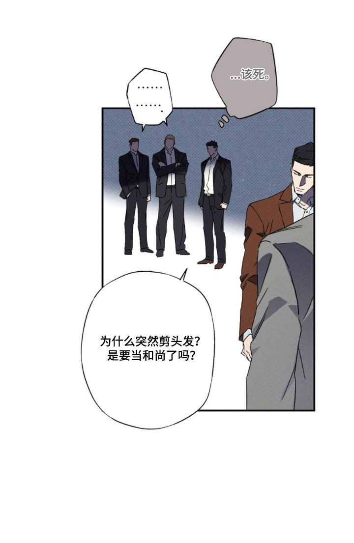 第134章：【第二季】最后一装