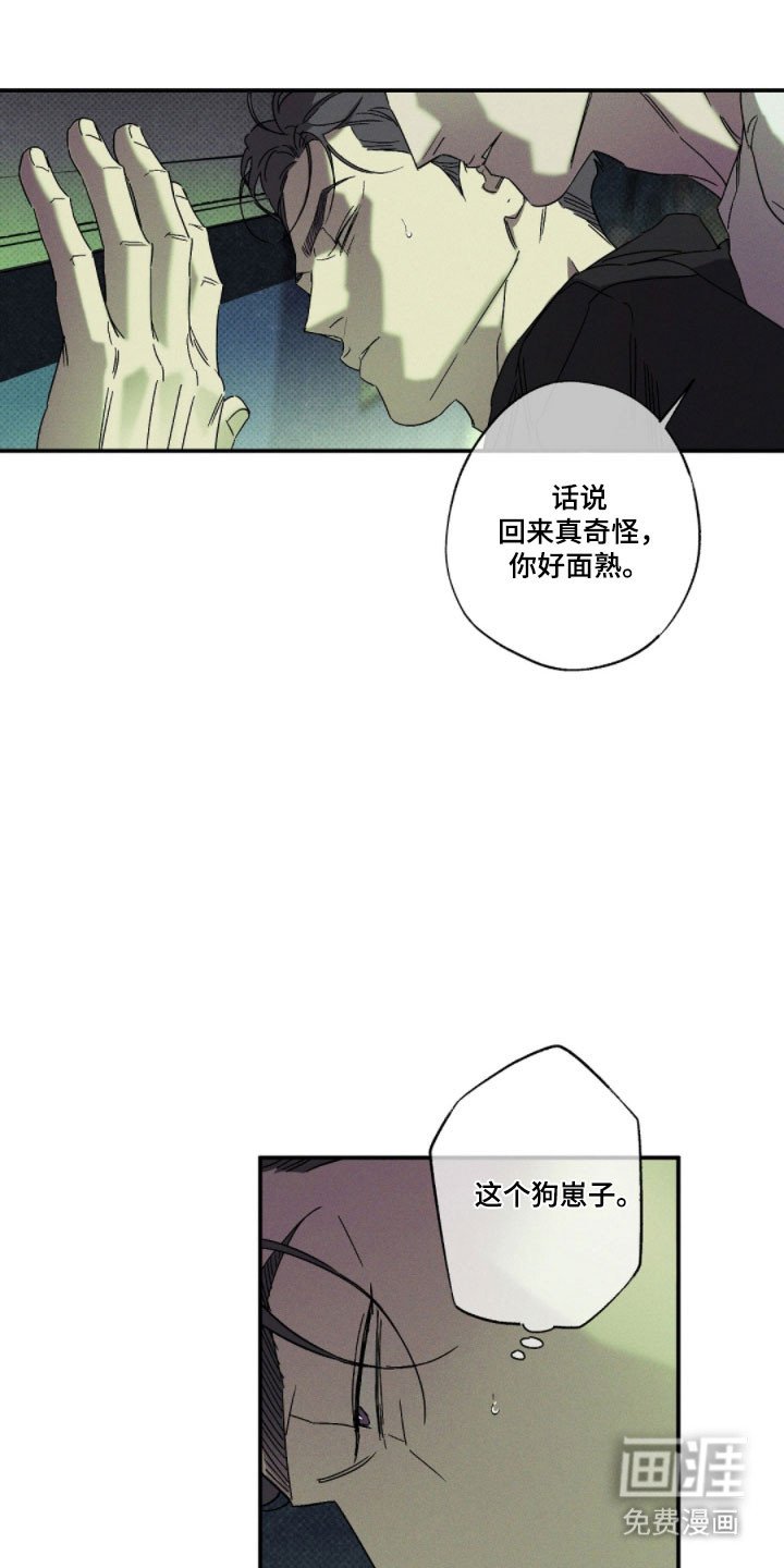 第135章：【第二季】组织内讧