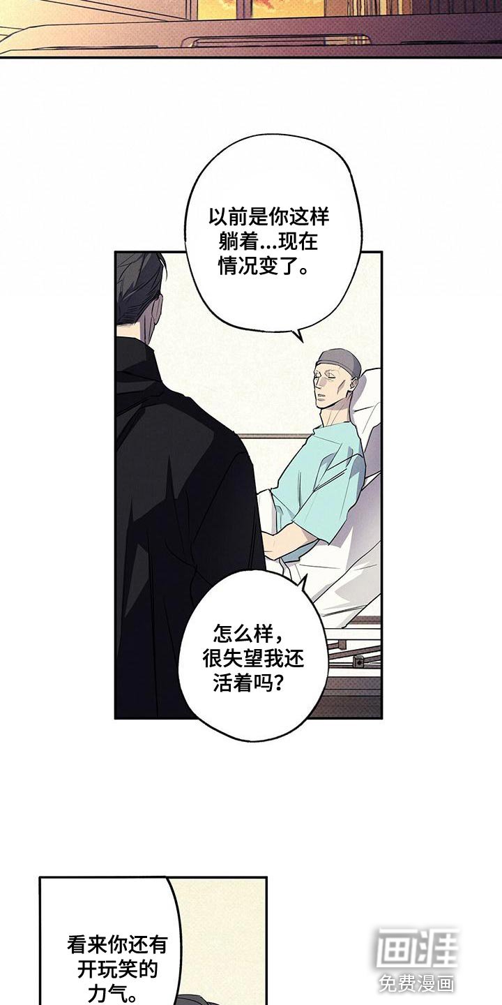 第31章：缺点