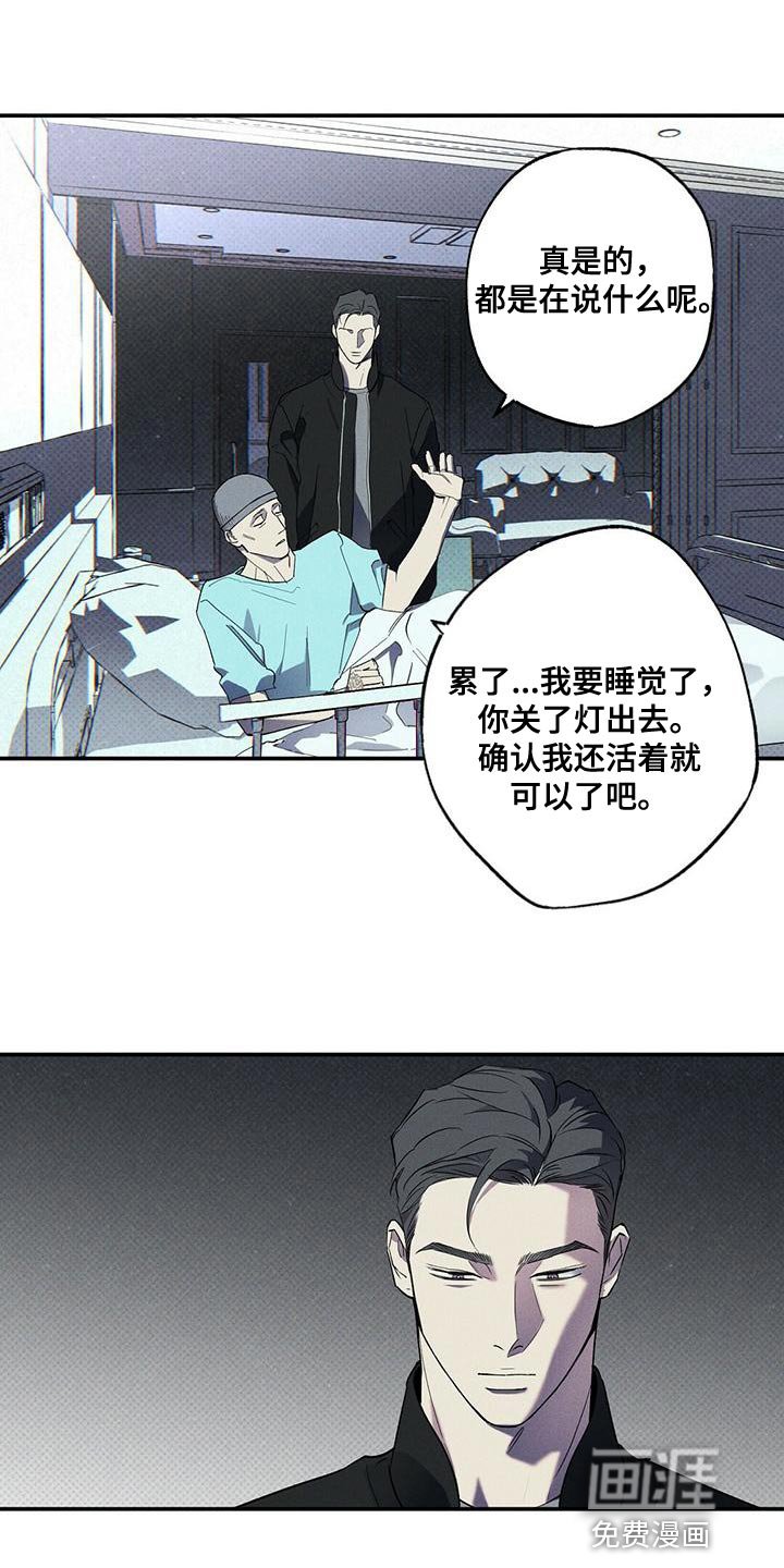 第31章：缺点