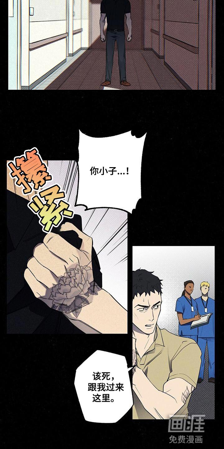 第31章：缺点