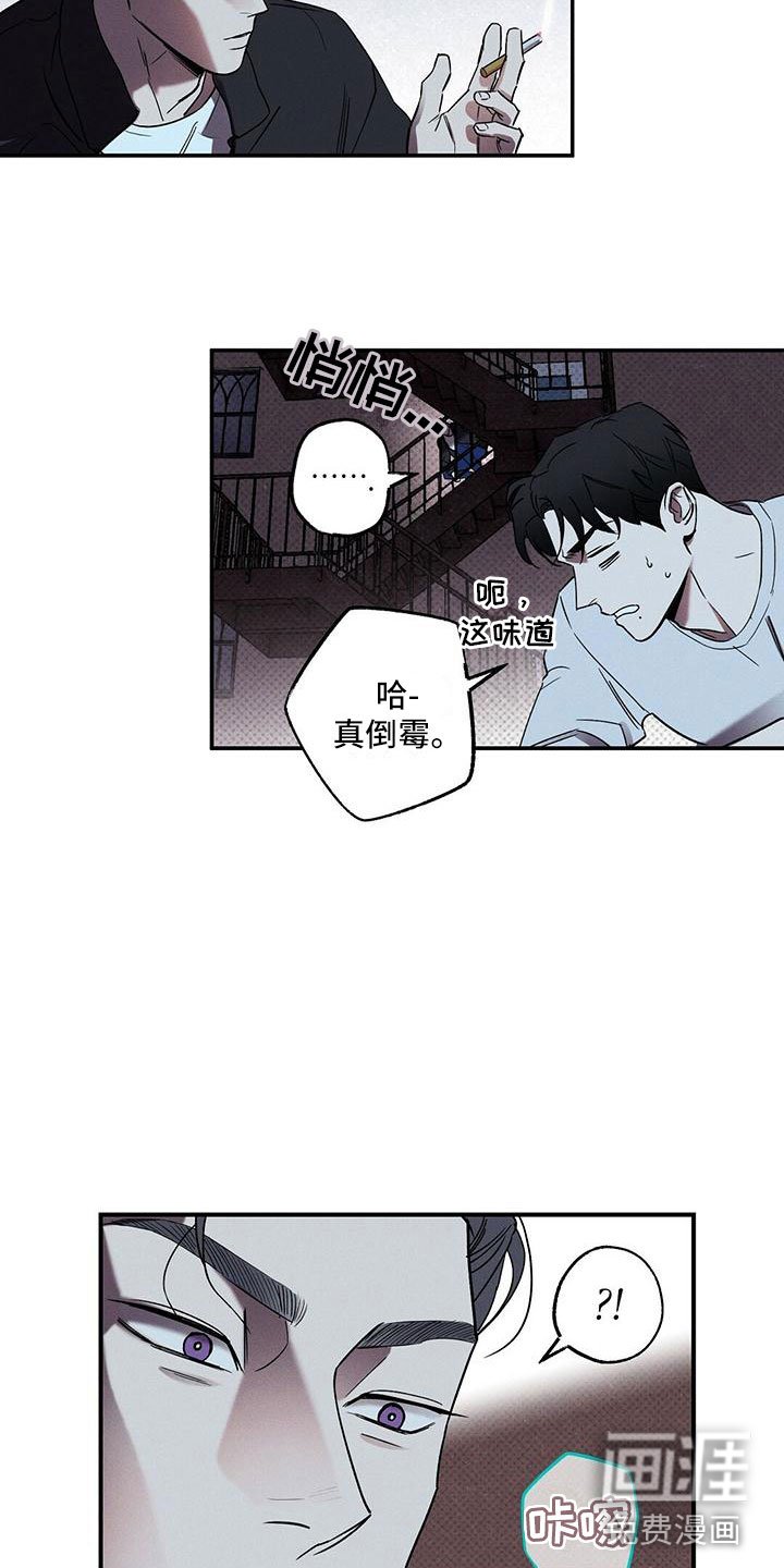 第5章：你真特别