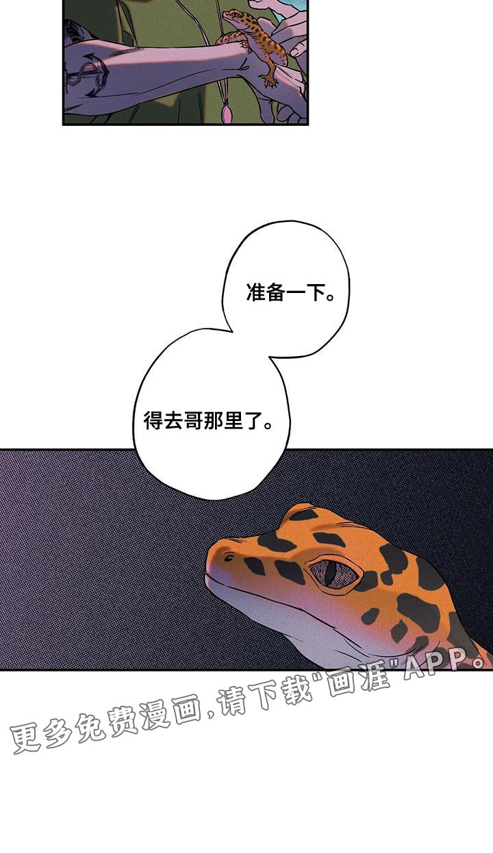 第57章：运气不好