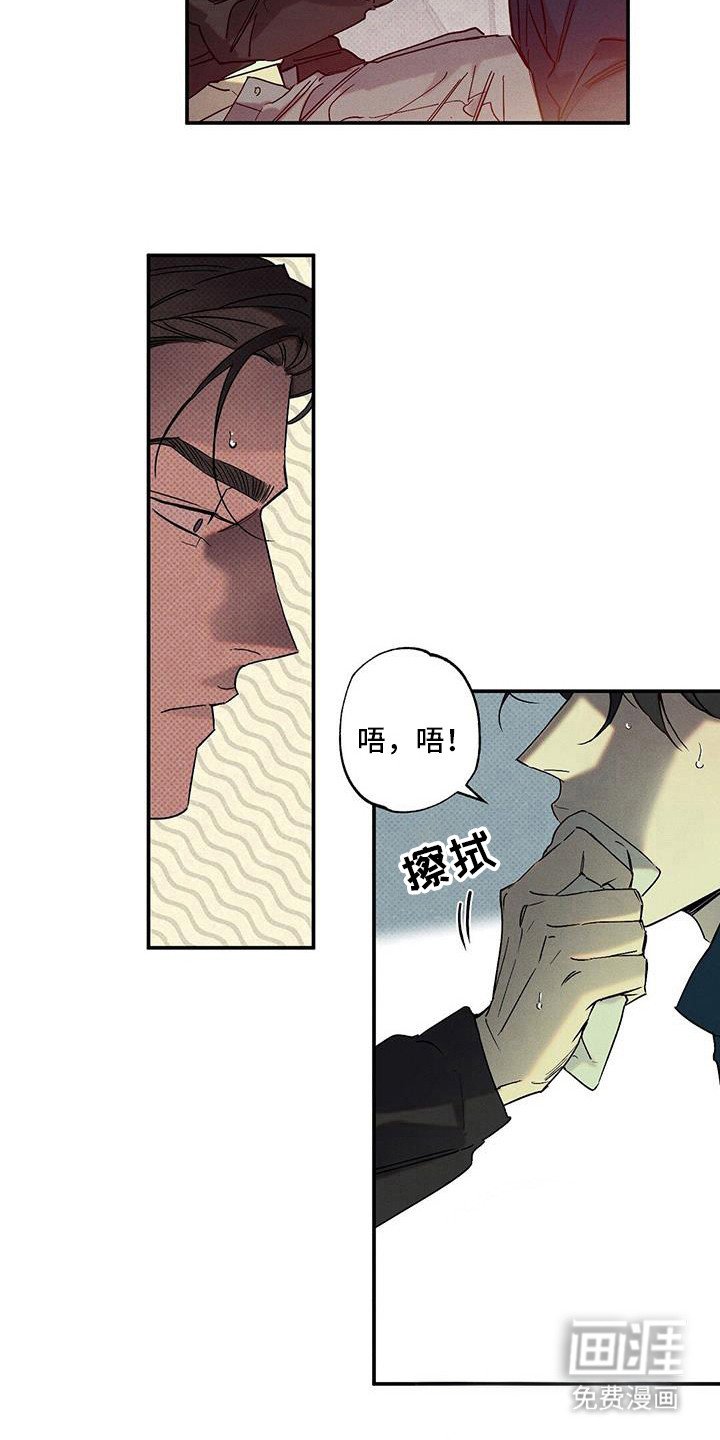 第91章：【第二季】露营