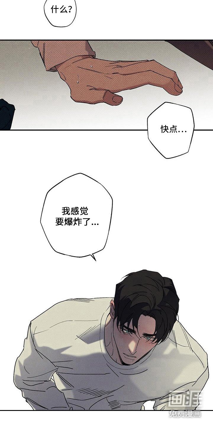 第91章：【第二季】露营