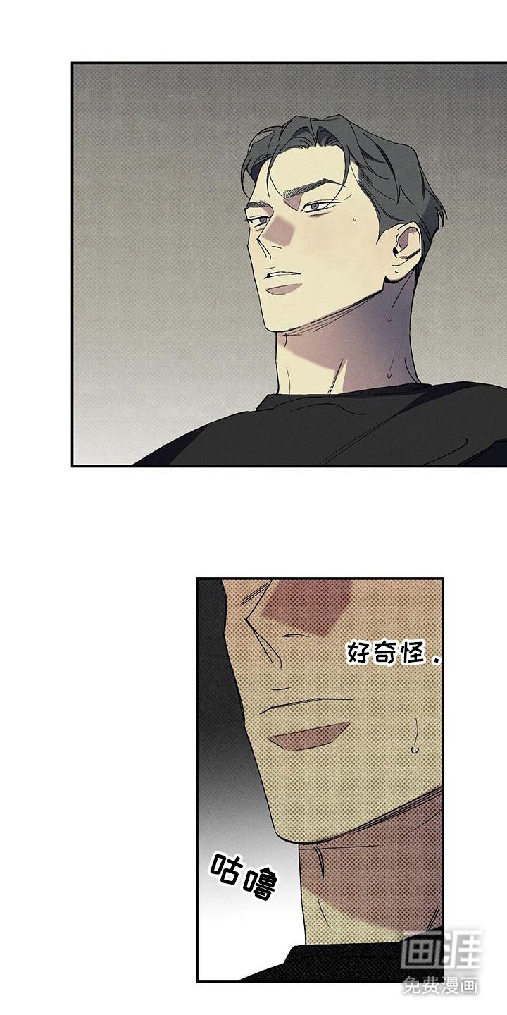 第91章：【第二季】露营