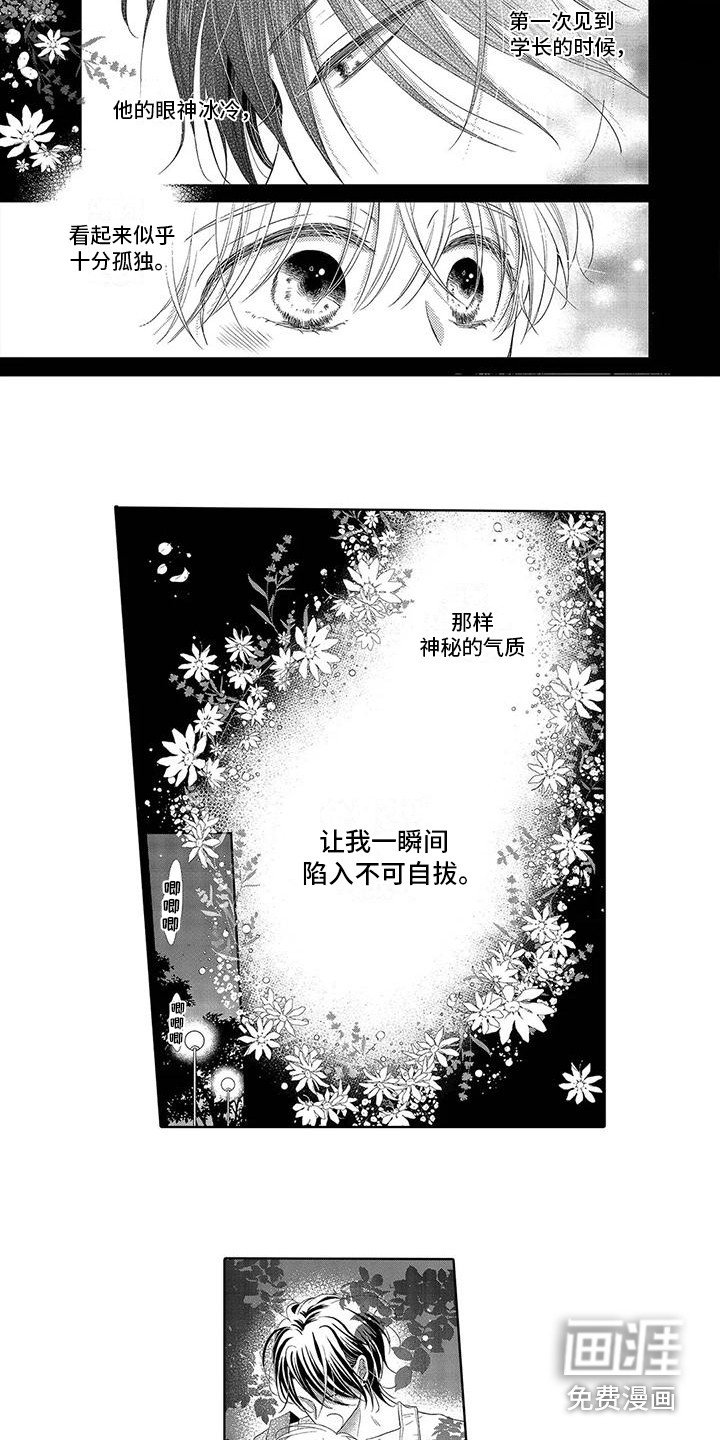 第10章：食物