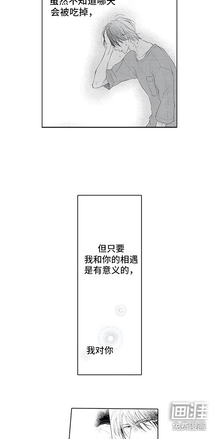 第17章：变瘦了