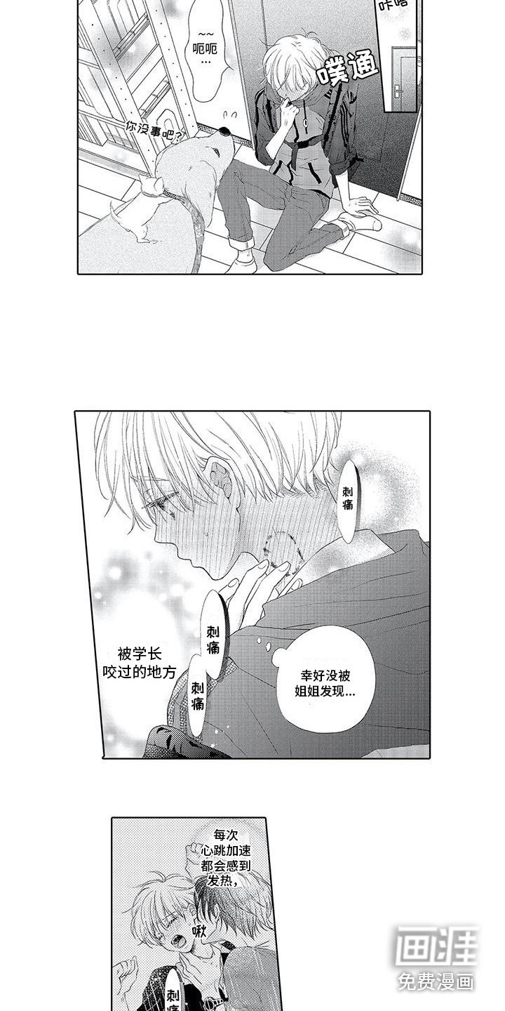 第4章：咬一口