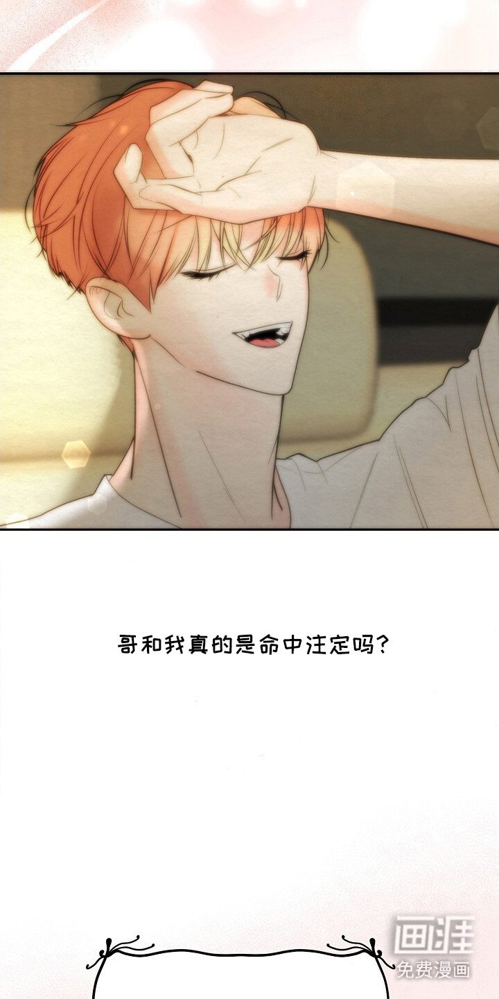 第14章：我的星星（完结）
