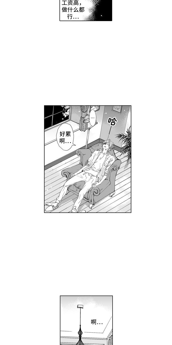 第3章：充满疑点