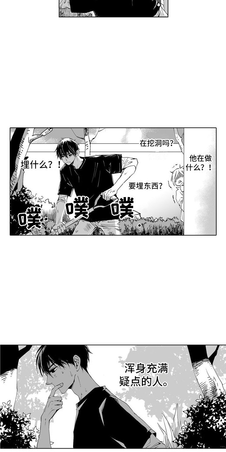 第3章：充满疑点