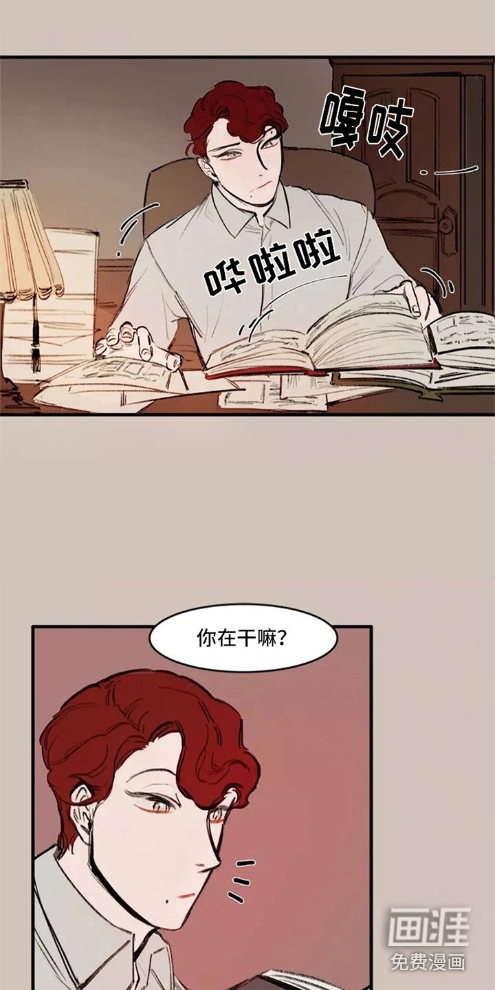 第17章：好奇