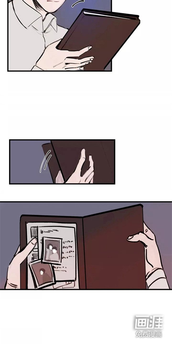 第19章：理由
