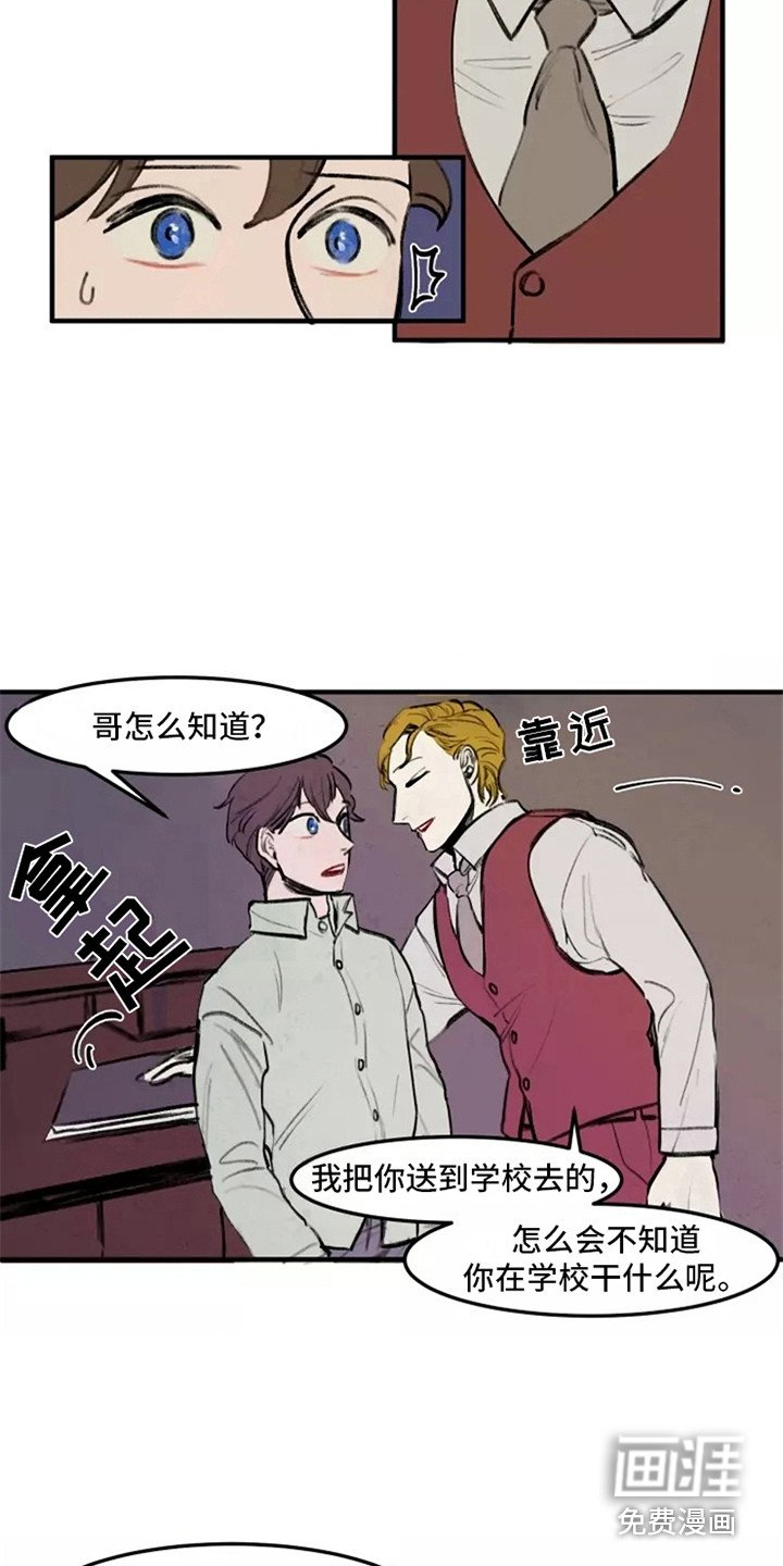 第31章：夫人