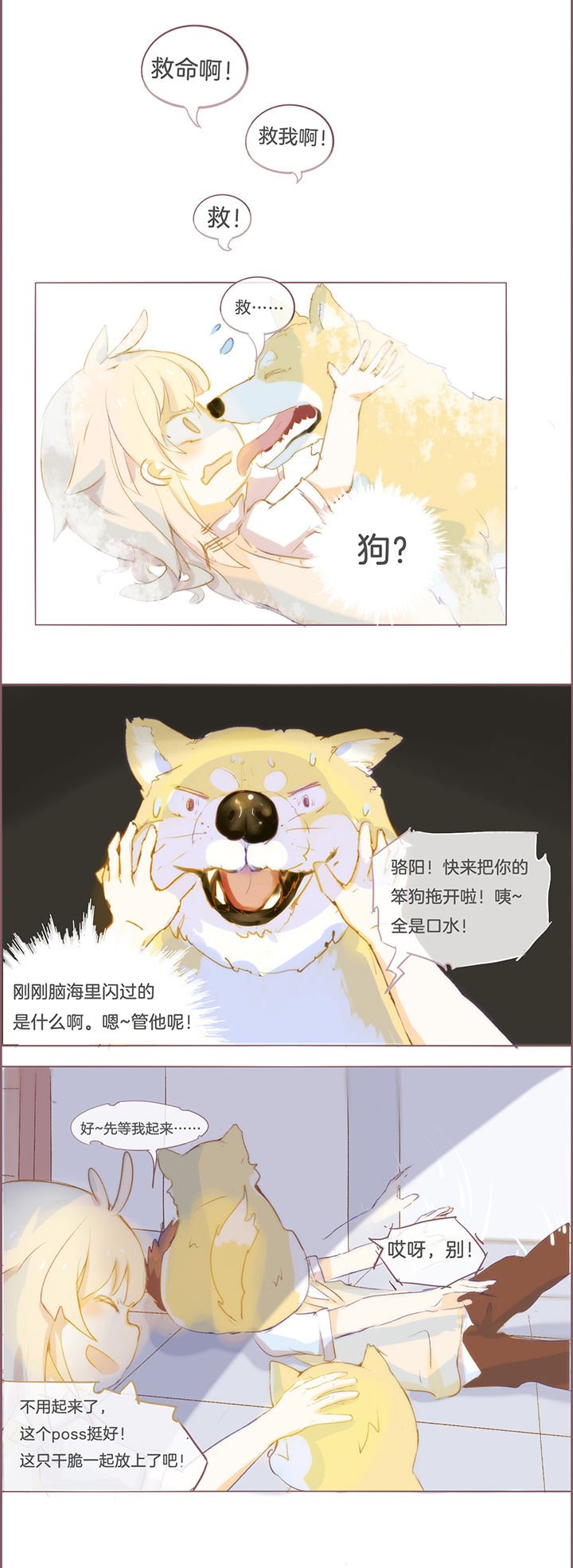 第16章：