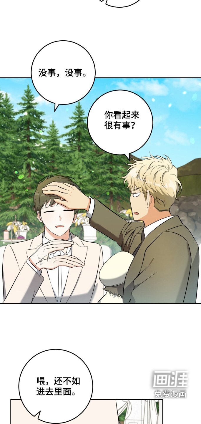 第117章：恭喜恭喜