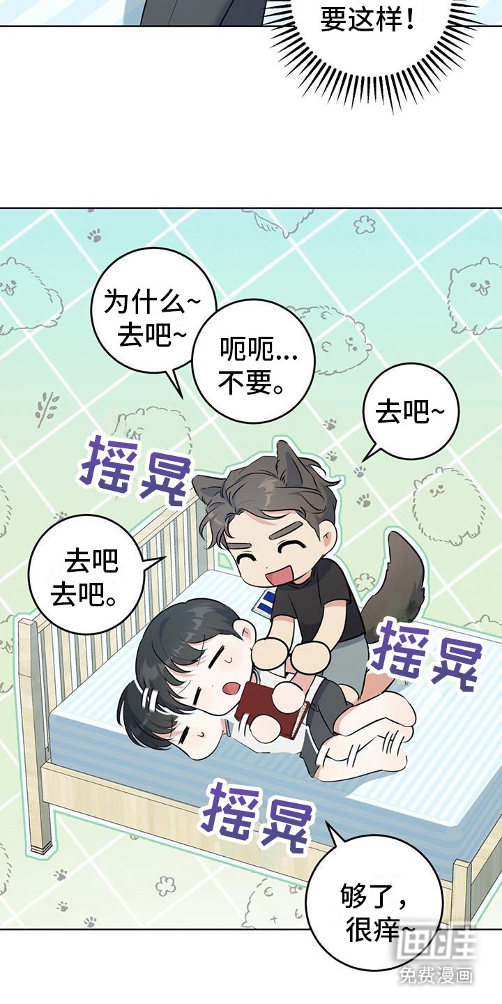 第20章：星空