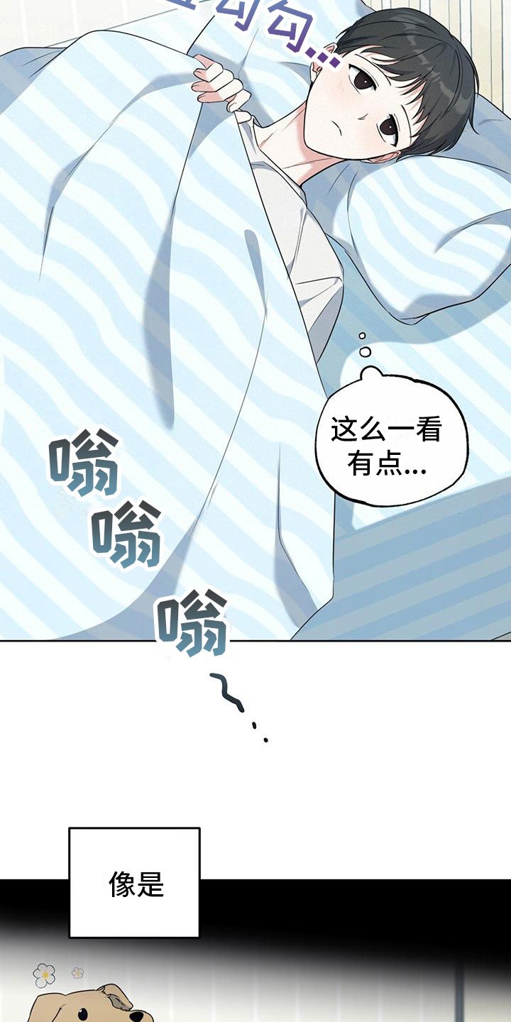 第3章：好奇