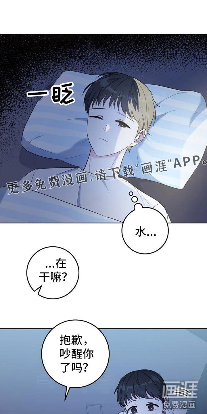 第4章：大型犬