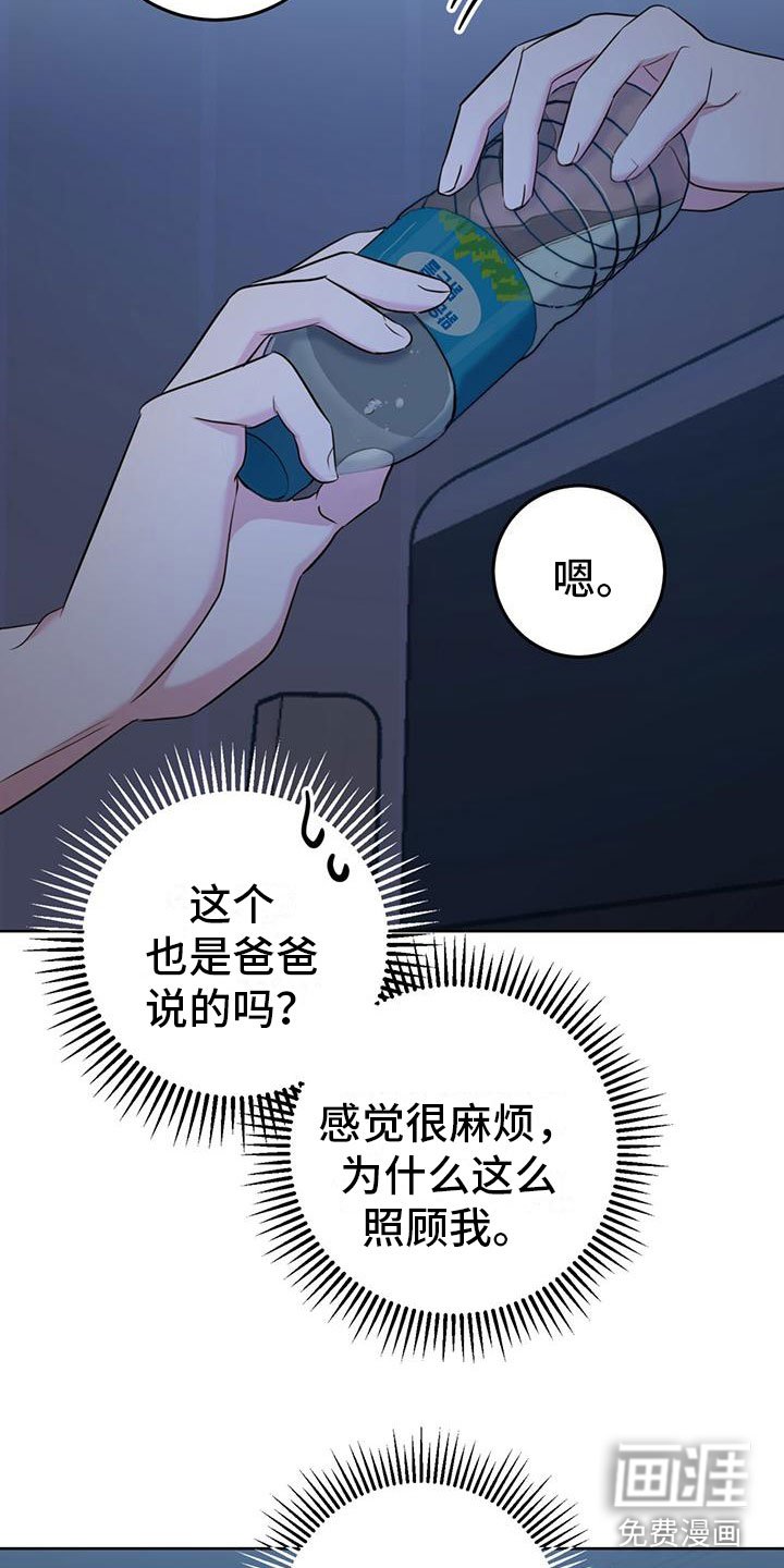 第4章：大型犬
