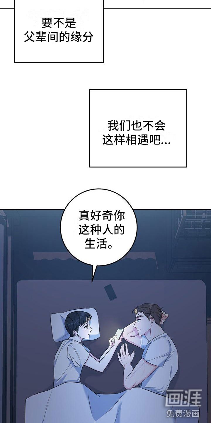 第4章：大型犬