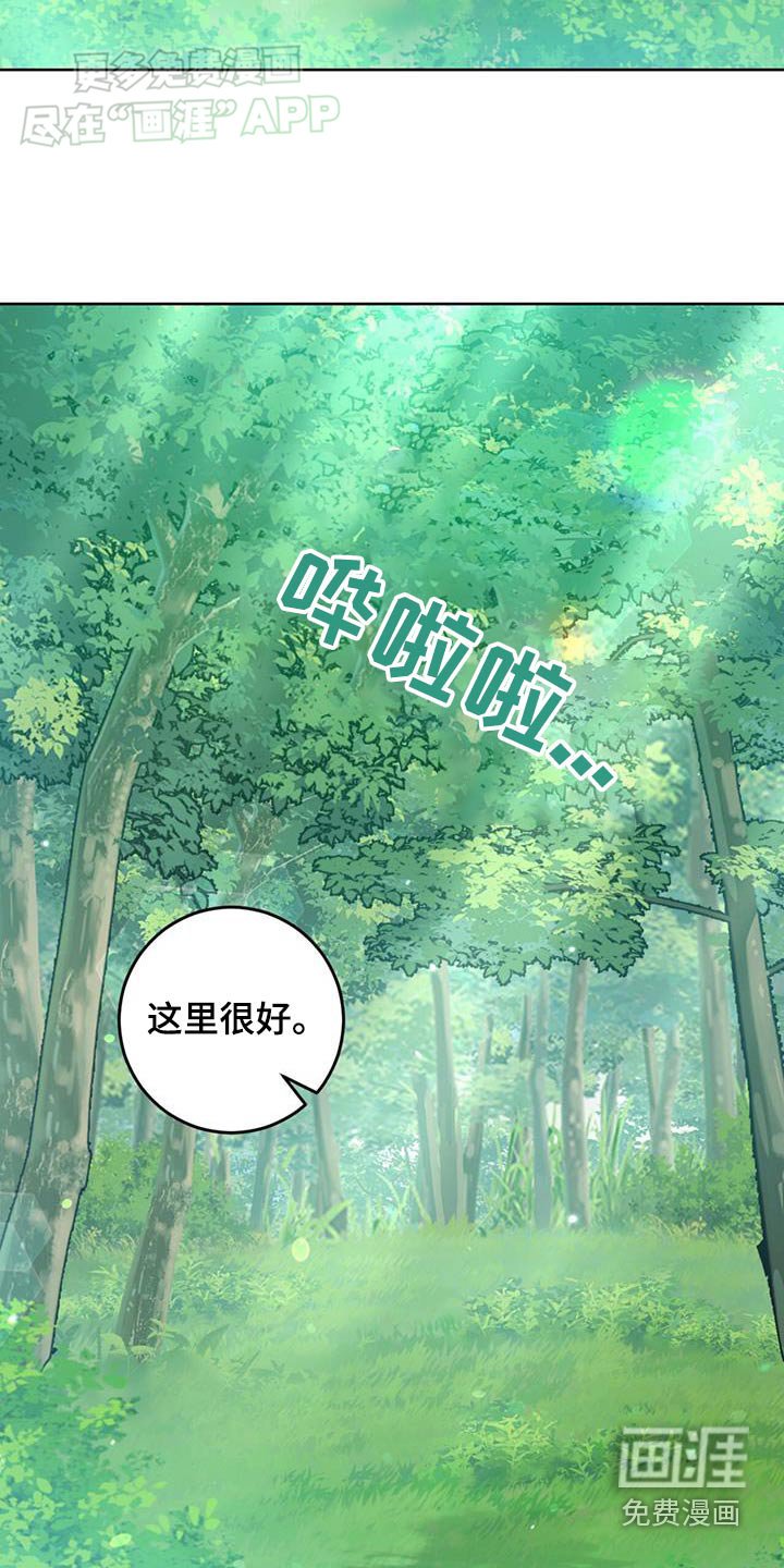 第47章：野餐