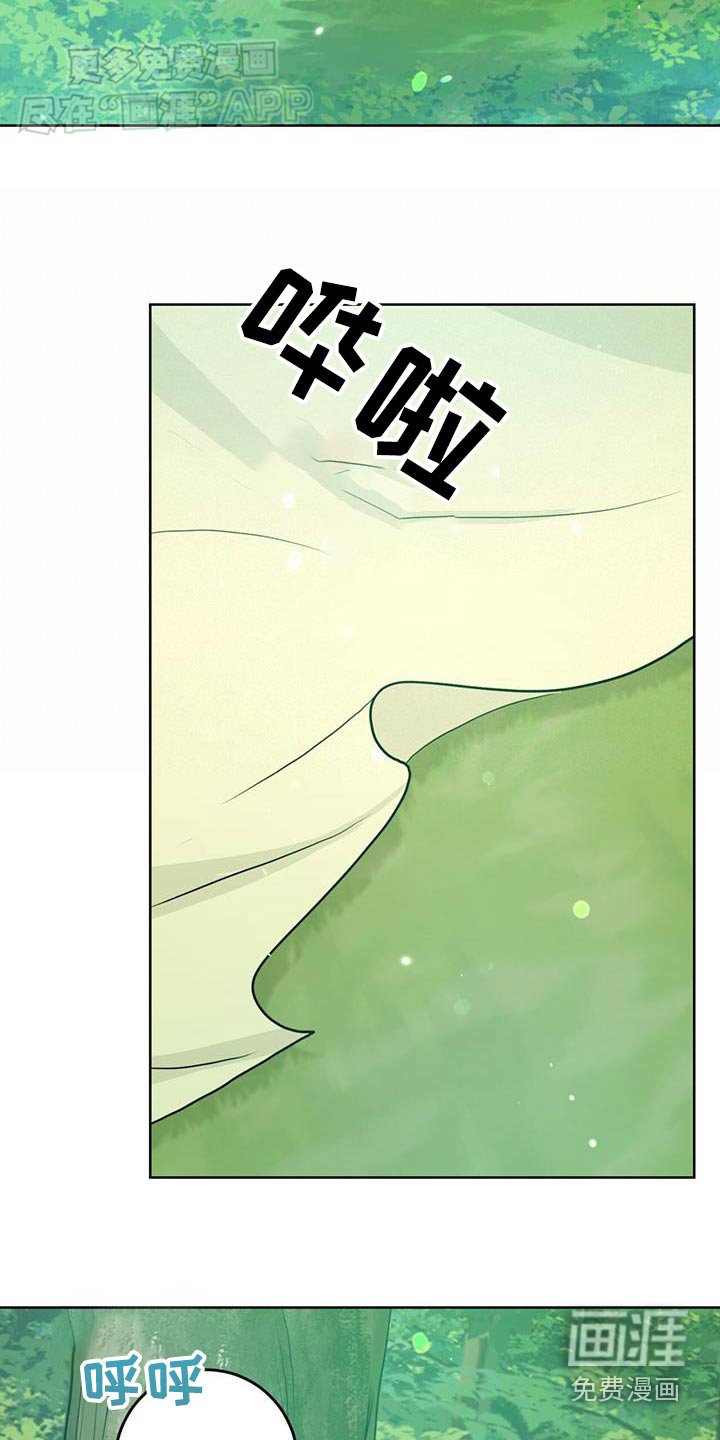 第47章：野餐
