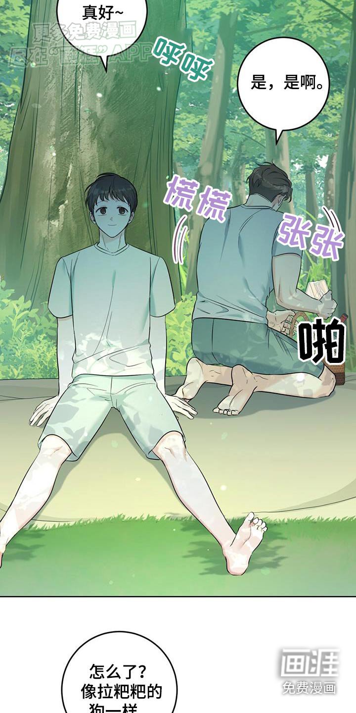 第47章：野餐