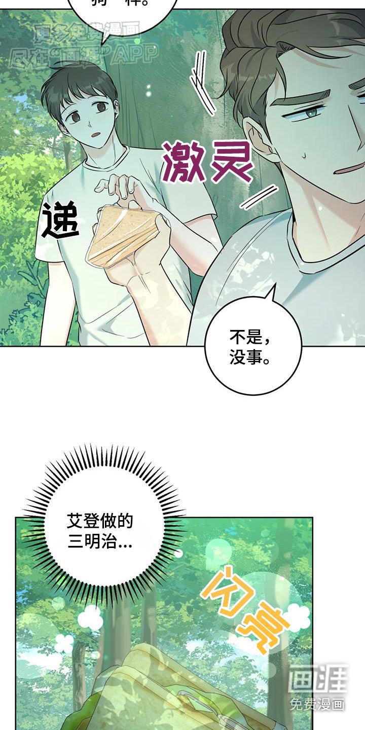 第47章：野餐