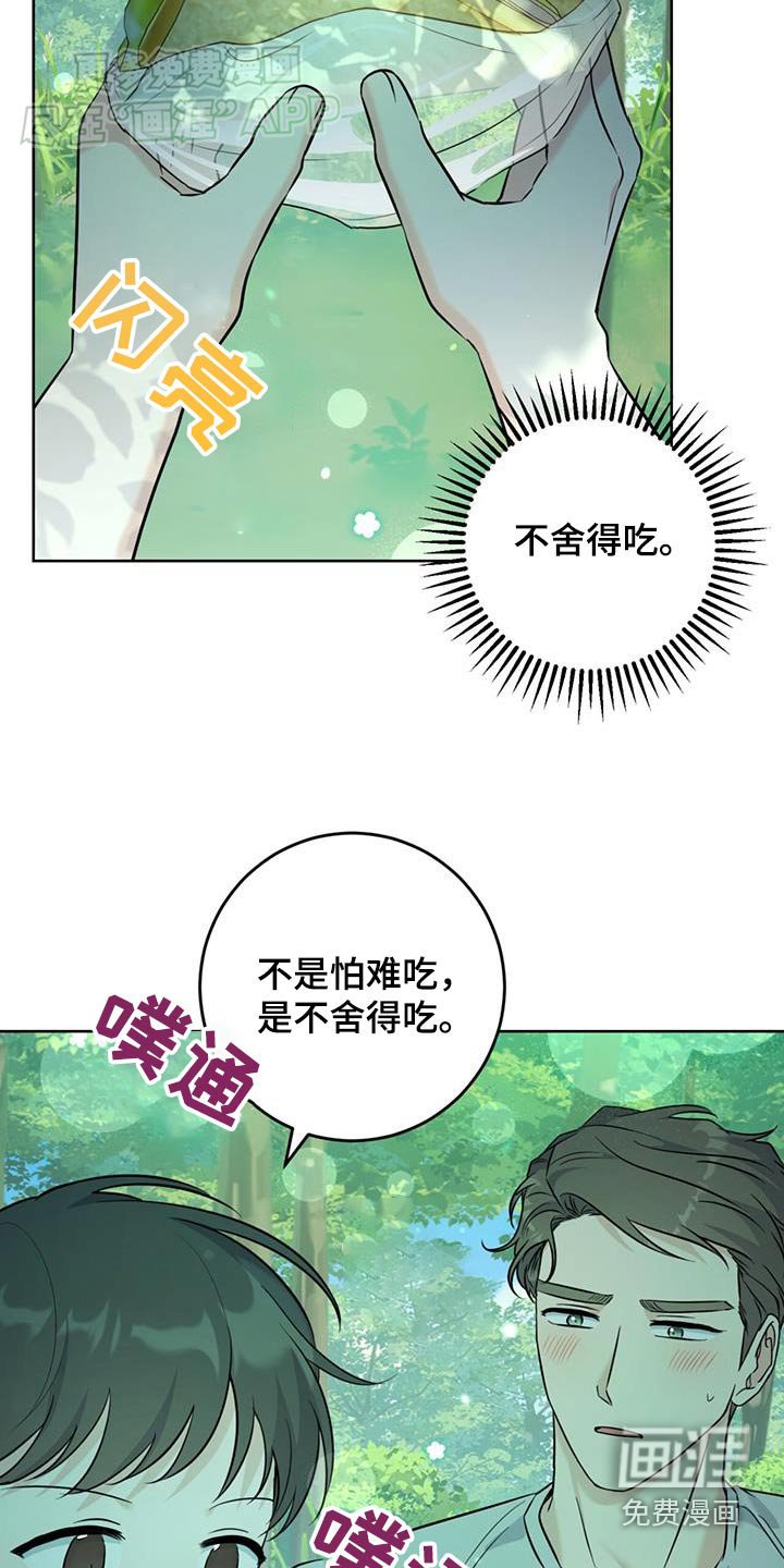 第47章：野餐